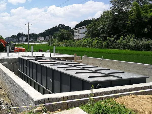1782038277968183.jpg